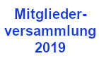 mv 2019mini