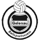 BSV Gelenau