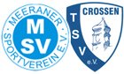 meeranetsv