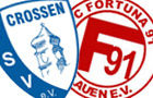 tsvf91plauen