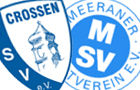 tsvmeerane