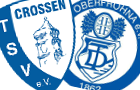 tsvoberfrohna
