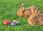 Ostern 2012