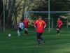 fc0208041103