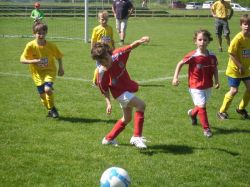 bambiniturnier05061102