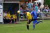 sommerfest201301