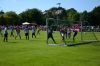 fsvzwickau07071310