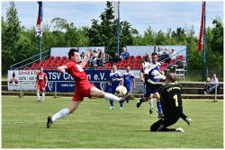 fortunaplauen31051502