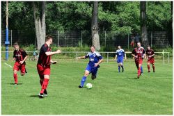 lokzwickau14061507
