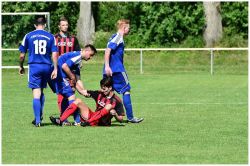 lokzwickau14061514