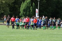 kottengruen11061701