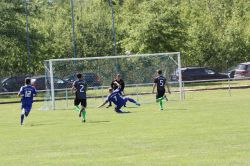 kottengruen11061709