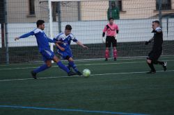 gelenau04031804
