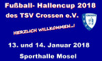 hallencup2018mini