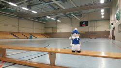 hallencup201890