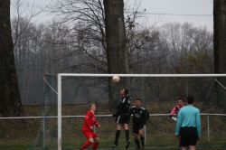 rueckschwall03121710