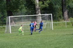 schoenfels02061913