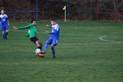 schoenfels11111814