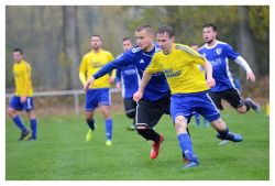 waldenburg27101917