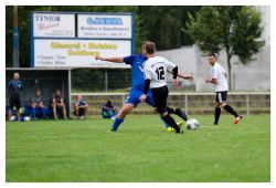 bwhartmannsdorf020820_14