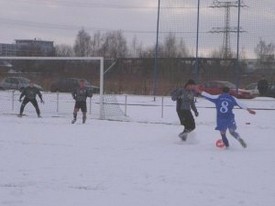 muelsen15020904